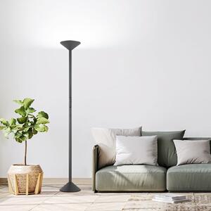 Fabas Luce LED стояща лампа Tratto, антрацит, метал, CCT, с димер, Затъмняване, Черен, Дневна/трапезария, Метал, Модерен