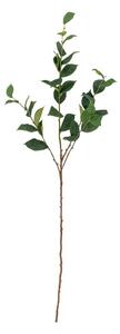 Изкуствен евкалипт (височина 110 cm) Eucalyptus – Bloomingville