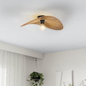 Eglo 31961 - Таванно осветително тяло SIRUELA 1xE27/42W/230V кафяво/черно