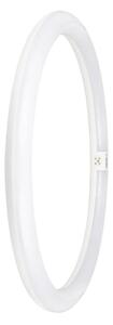 LED Флуоресцентна тръба G10q/24W/230V 4000K - Osram