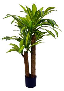 Декоративно растение драцена в саксия green pp h110cm