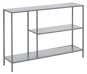 Сива стоманена конзолна маса 30x120 cm Acero – Premier Housewares
