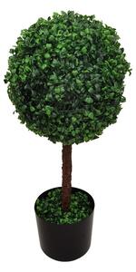 Декоративно растение Bolla в саксия pp φ30x65cm