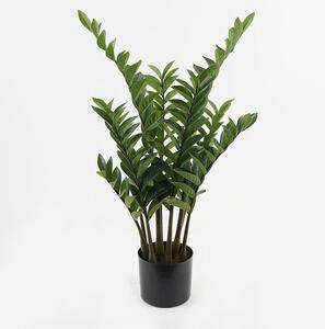 Декоративно саксийно растение Zamia зелено d52x88см