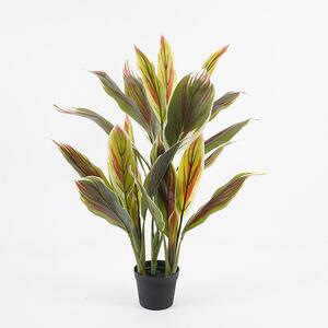 Декоративно растение в саксия Cycas зелено d55x80см