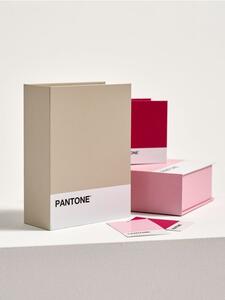 Sinsay - Кутия за съхранение Pantone - бежово