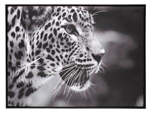 Картина atmosphera Leopard, 58x58 cm