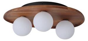 Osram - Таванно осветително тяло ACACIA NEST 3xG9/5W/230V от акация