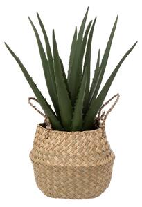 Изкуствено растение atmosphera Aloe Vera, 37cm