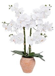 Изкуствено цвете atmosphera Dena Orchid, 65 cm