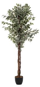 Изкуствено растение atmosphera Fig Tree, 180 cm, Двуцветно
