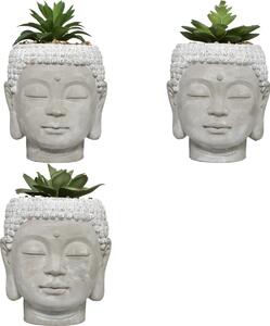 Изкуствено растение atmosphera Buddha, 13.5 cm, Различни видове