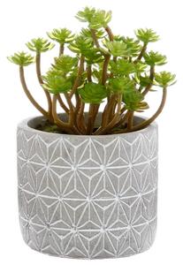 Изкуствено растение atmosphera Succulent, 17 cm, Различни видове