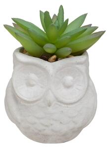 Изкуствено растение atmosphera Succulent, 8 cm, Различни видове