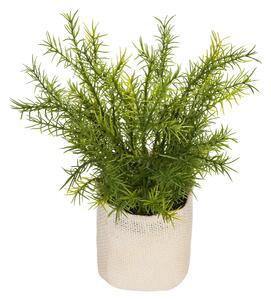 Изкуствено растение atmosphera Factory, 25 cm, Различни видове