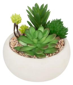 Изкуствено растение atmosphera Succulent, 10 cm, Различни видове