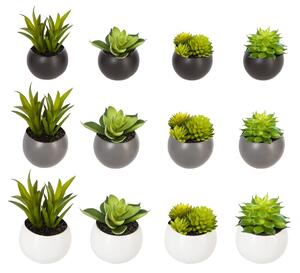 Изкуствено растение atmosphera Succulent, 6 cm, Различни видове