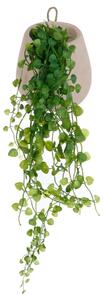 Изкуствено растение atmosphera Hanging Ivy, 62 cm