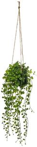 Изкуствено растение atmosphera Living, 10.5 cm