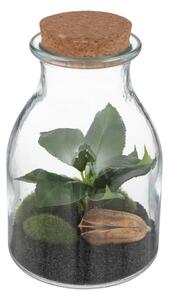 Изкуствено растение atmosphera Botanic Terrarium, 19.5 cm