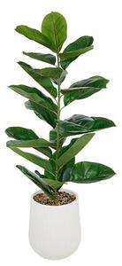 Изкуствено растение atmosphera Ficus Sky, 145 cm