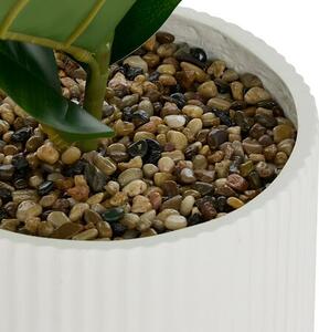 Изкуствено растение atmosphera Ficus Sky, 145 cm