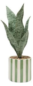 Изкуствено растение atmosphera Sansevieria Chéri, 38 cm