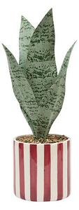 Изкуствено растение atmosphera Sansevieria Chéri, 38 cm