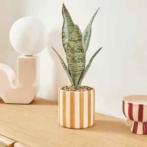 Изкуствено растение atmosphera Sansevieria Chéri, 38 cm