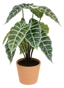 Изкуствено растение atmosphera Soleya Alocasia, 43 cm