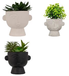 Изкуствено растение atmosphera Dusty Succulent, 22 cm, Различни видове