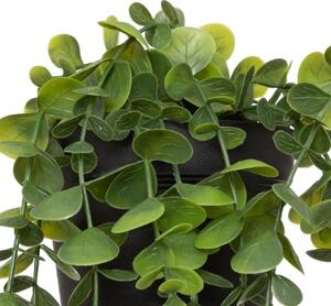 Изкуствено растение atmosphera Merly Eucalyptus, 51 cm, Различни видове