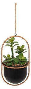 Изкуствено растение atmosphera Tyla Hanging, 31 cm