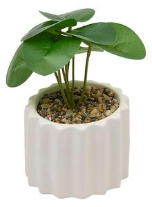 Изкуствено растение atmosphera Flow, 16 cm, Различни видове