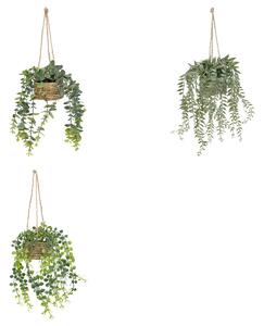 Изкуствено растение atmosphera Patri Hanging, 50 cm, Различни видове
