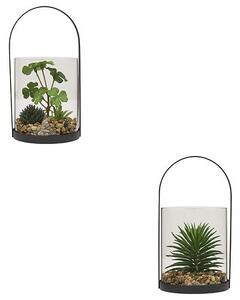 Изкуствено растение atmosphera Wilo Hanging Terrarium, 19 cm, Различни видове
