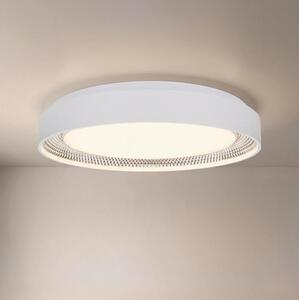 Brilagi - LED димируема таванна лампа WALDO LED/48W/230V диаметър 40 см бяло/сребристо+дистанционно