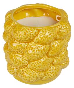 Ароматна свещ atmosphera Yucatan, Citrus, Ceramic, 330 g