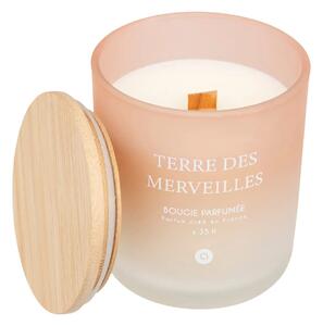Ароматна свещ atmosphera Sana, Стъкло, 255 g - Terre des Merveilles