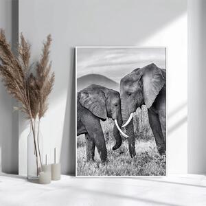 Картина Elephant Couple