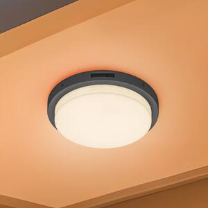 Trio Lighting LED външна стена Bermejo, кръгла, сензор, CCT, антрацит, Сив, Метал