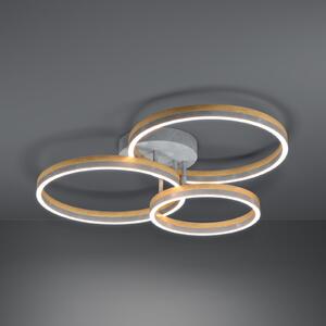 Stars of Light Светило „Stars Light“ LED за таван Cadinaro, сиво/дърво, 73 см, с регулиране, Затъмняване, Сив, Дневна/трапезария, Стъкло, Модерен, Таван с много пламъци