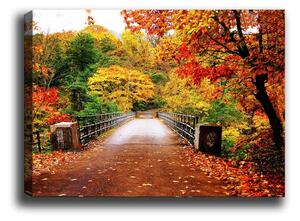 Живопис , 70 x 50 cm Autumn Bridge - Tablo Center