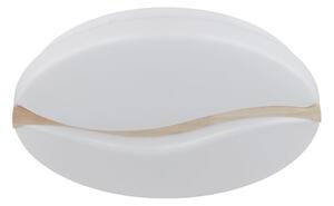 Globo 41790-20 - LED таванно осветление LETICIA LED/24W/230V пр. 39 см