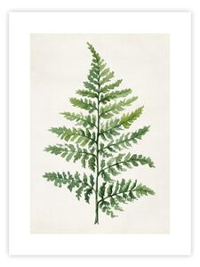 Плакат 40x50 cm Fern