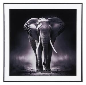 Картина 50x50 cm Elephant - PT LIVING