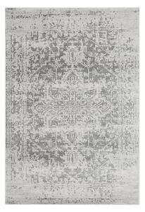 Сив килим 80x150 cm Nova – Asiatic Carpets