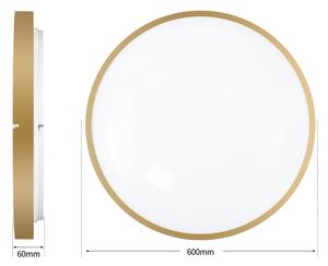 Brilagi - димируемо осветително тяло GLASS POOL DOUBLE LED/80W/230V 60 см златисто + дистанционно управление