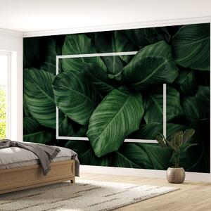 Фототапет Deep Green