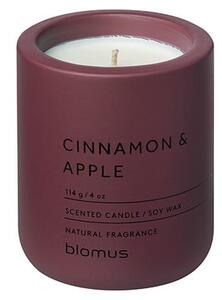 Свещ от соев восък с време на горене 24 h Fraga: Cinnamon & Apple – Blomus